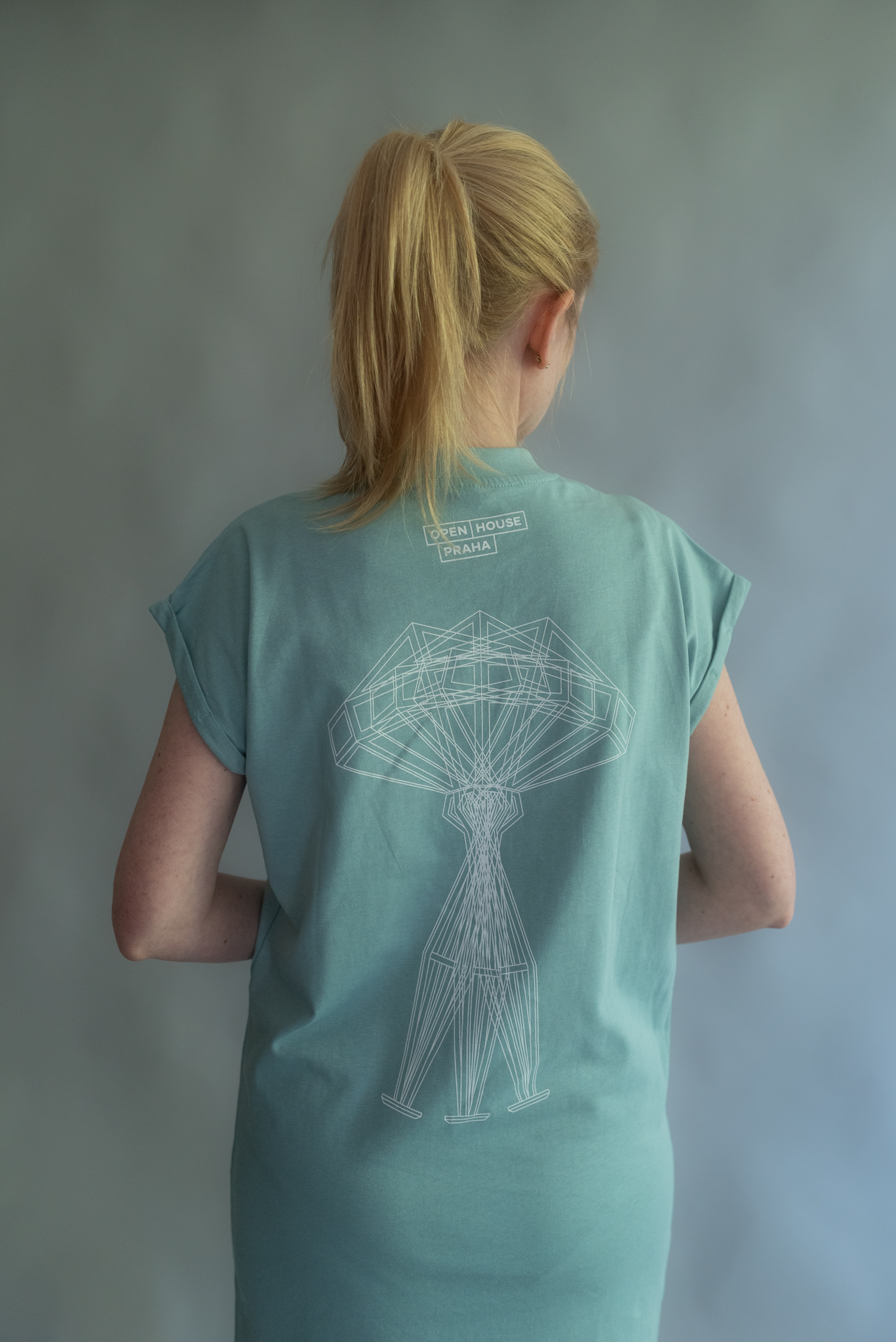 trikošaty lucerna mátové