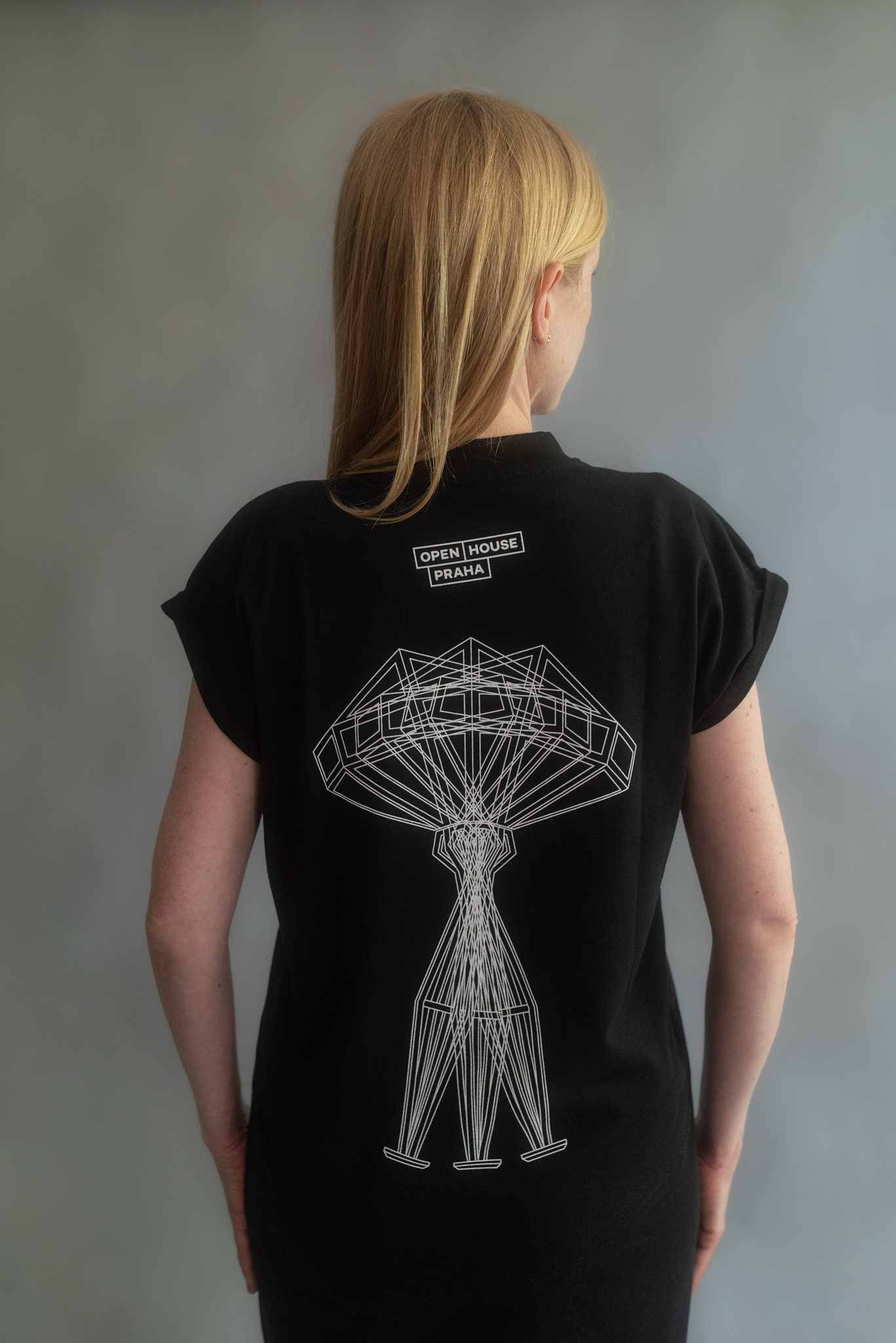 trikošaty lucerna černé